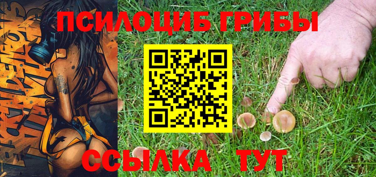 Псилоцибиновые грибы мицелий  Вход с VPN  Балаково 